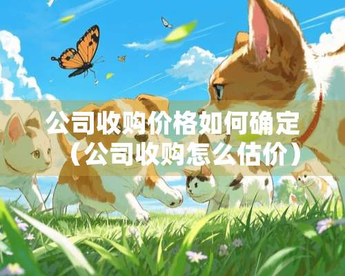 公司收购价格如何确定（公司收购怎么估价）