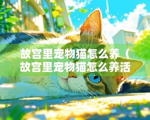 故宫里宠物猫怎么养（故宫里宠物猫怎么养活）