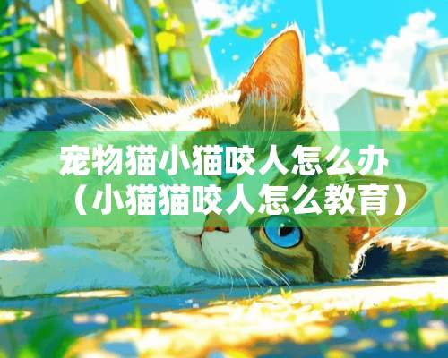 宠物猫小猫咬人怎么办（小猫猫咬人怎么教育）