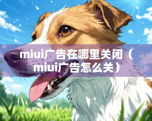 miui广告在哪里关闭（miui广告怎么关）