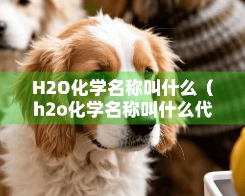 H2O化学名称叫什么（h2o化学名称叫什么代表什么）