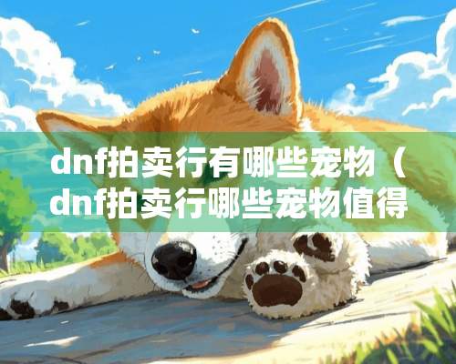 dnf拍卖行有哪些宠物（dnf拍卖行哪些宠物值得购买）