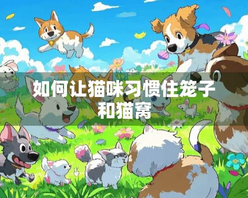 如何让猫咪习惯住笼子和猫窝