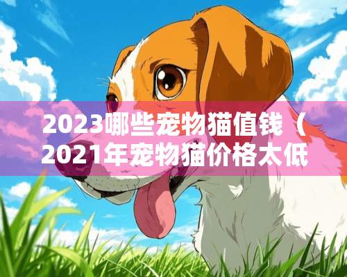 2023哪些宠物猫值钱（2021年宠物猫价格太低了）