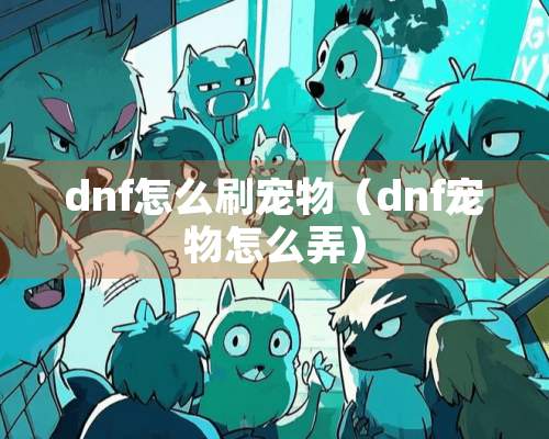 dnf怎么刷宠物（dnf宠物怎么弄）