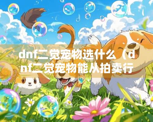 dnf二觉宠物选什么（dnf二觉宠物能从拍卖行）