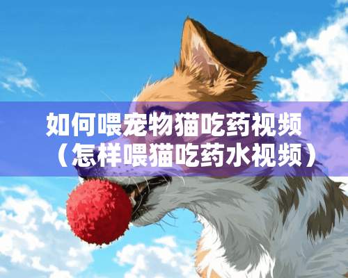 如何喂宠物猫吃药视频（怎样喂猫吃药水视频）