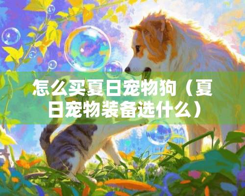 怎么买夏日宠物狗（夏日宠物装备选什么）