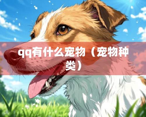 qq有什么宠物（宠物种类）