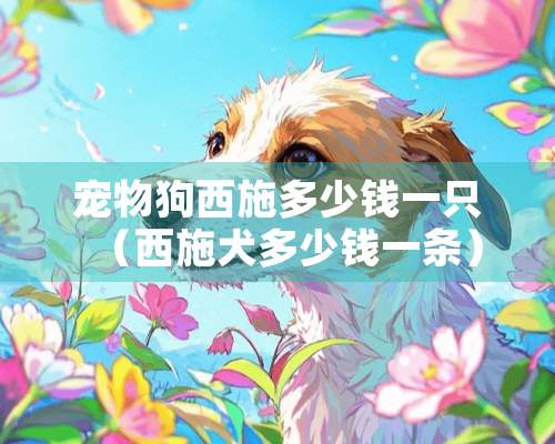 宠物狗西施多少钱一只（西施犬多少钱一条）