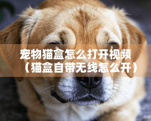 宠物猫盒怎么打开视频（猫盒自带无线怎么开）