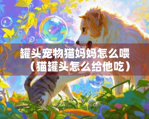 罐头宠物猫妈妈怎么喂（猫罐头怎么给他吃）