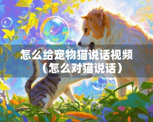 怎么给宠物猫说话视频（怎么对猫说话）