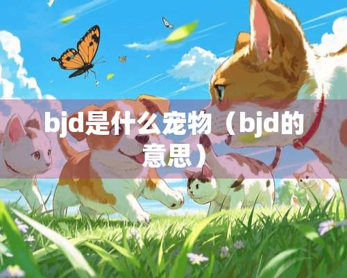 bjd是什么宠物（bjd的意思）