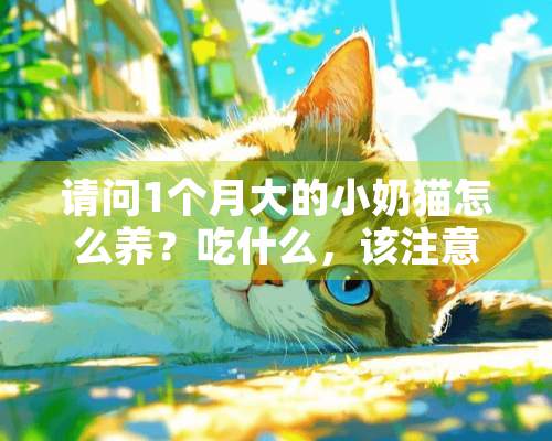 请问1个月大的小奶猫怎么养？吃什么，该注意什么？