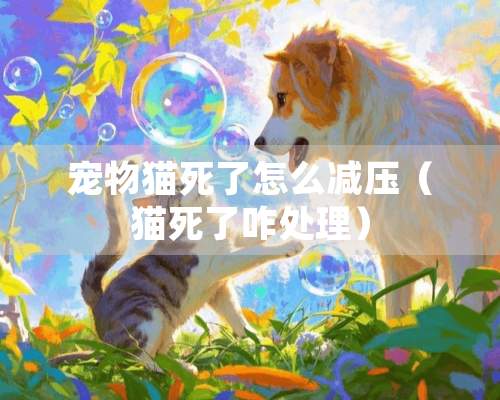 宠物猫死了怎么减压（猫死了咋处理）