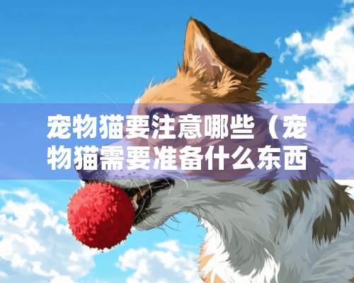 宠物猫要注意哪些（宠物猫需要准备什么东西）