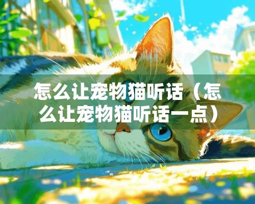 怎么让宠物猫听话（怎么让宠物猫听话一点）