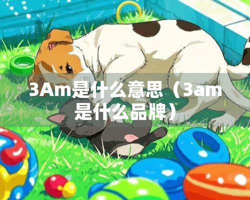 3Am是什么意思（3am是什么品牌）