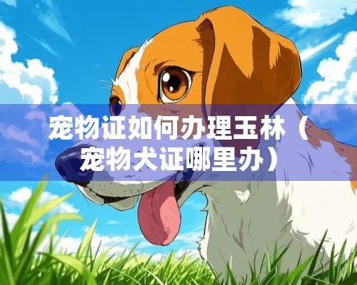 宠物证如何办理玉林（宠物犬证哪里办）