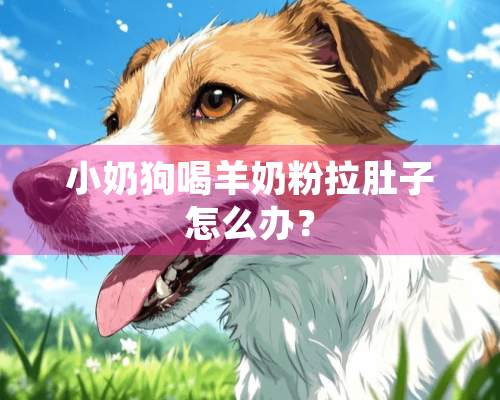 小奶狗喝羊奶粉拉肚子怎么办？