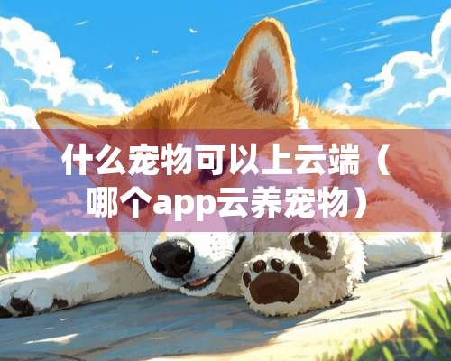 什么宠物可以上云端（哪个app云养宠物）