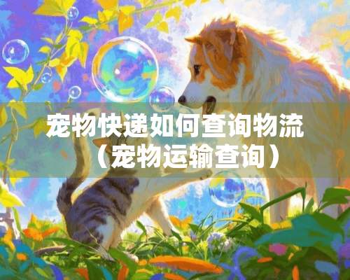 宠物快递如何查询物流（宠物运输查询）