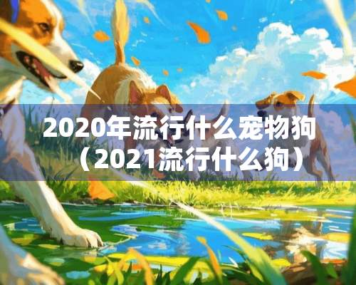 2020年流行什么宠物狗（2021流行什么狗）