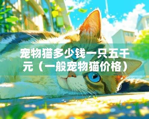 宠物猫多少钱一只五千元（一般宠物猫价格）