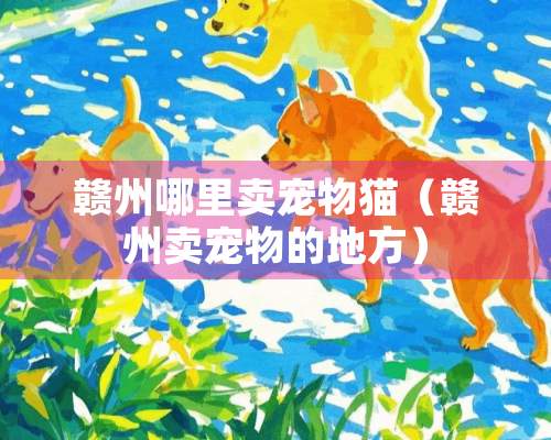 赣州哪里卖宠物猫（赣州卖宠物的地方）