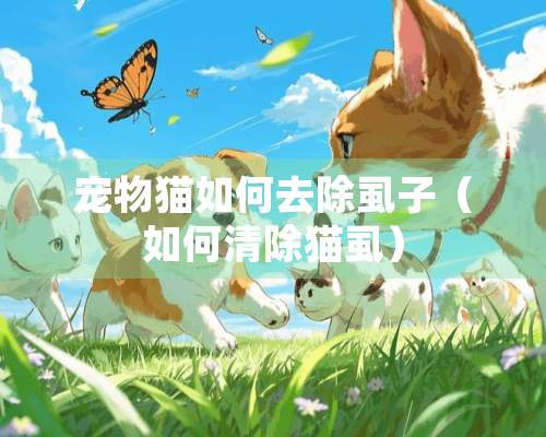 宠物猫如何去除虱子（如何清除猫虱）