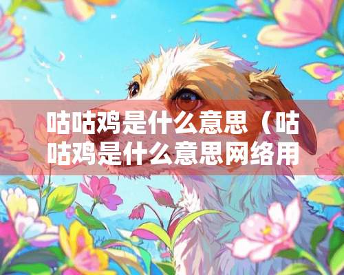 咕咕鸡是什么意思（咕咕鸡是什么意思网络用语怎么说）