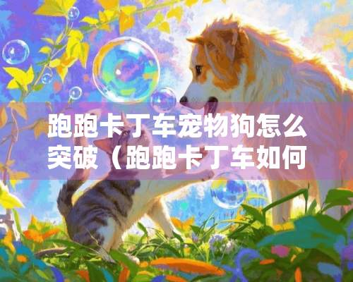 跑跑卡丁车宠物狗怎么突破（跑跑卡丁车如何获得宠物）