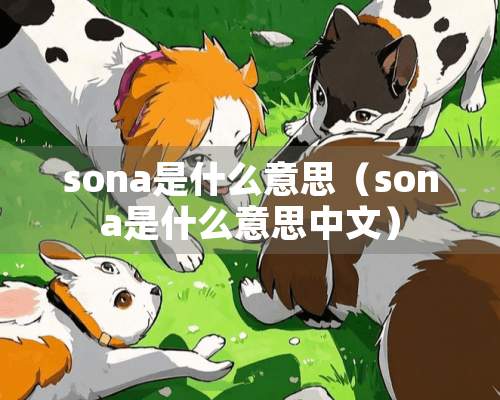 sona是什么意思（sona是什么意思中文）