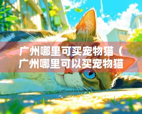 广州哪里可买宠物猫（广州哪里可以买宠物猫）