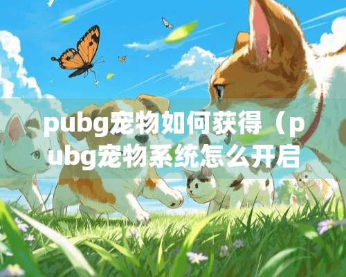 pubg宠物如何获得（pubg宠物系统怎么开启）