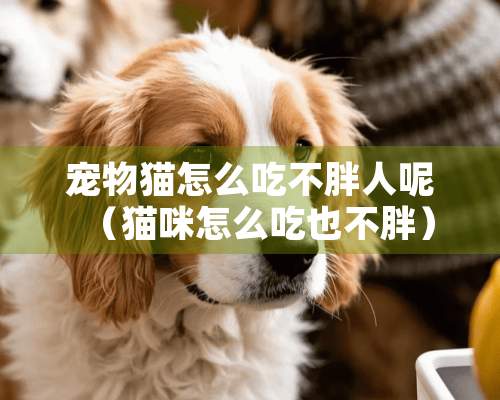 宠物猫怎么吃不胖人呢（猫咪怎么吃也不胖）