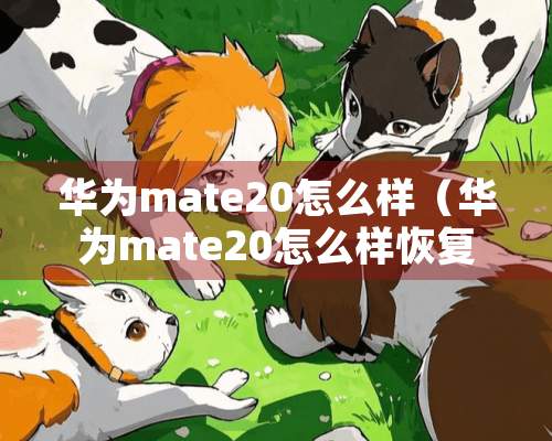 华为mate20怎么样（华为mate20怎么样恢复出厂设置）