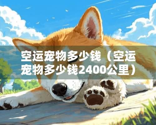 空运宠物多少钱（空运宠物多少钱2400公里）