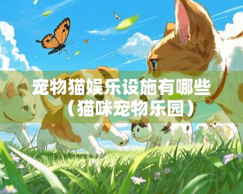 宠物猫娱乐设施有哪些（猫咪宠物乐园）