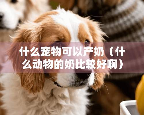 什么宠物可以产奶（什么动物的奶比较好啊）