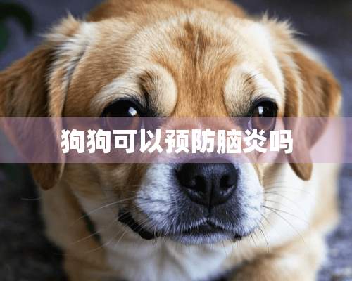 狗狗可以预防脑炎吗