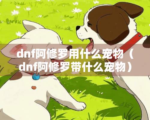 dnf阿修罗用什么宠物（dnf阿修罗带什么宠物）