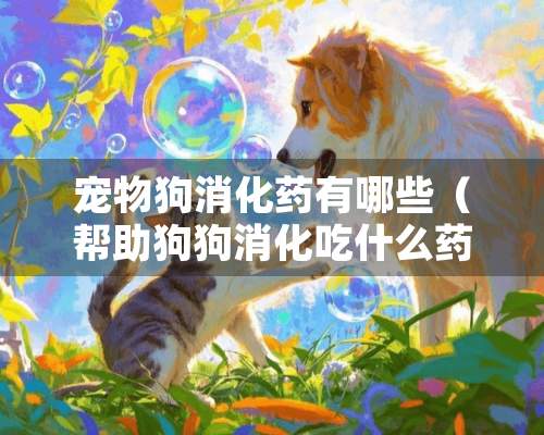 宠物狗消化药有哪些（帮助狗狗消化吃什么药）