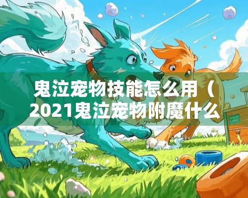 鬼泣宠物技能怎么用（2021鬼泣宠物附魔什么宝珠）