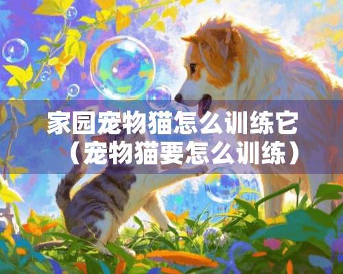 家园宠物猫怎么训练它（宠物猫要怎么训练）