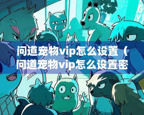 问道宠物vip怎么设置（问道宠物vip怎么设置密码）