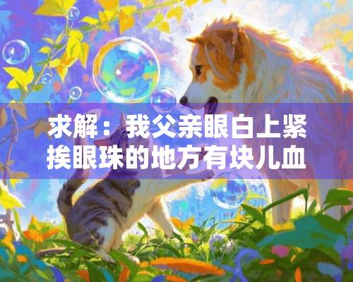 求解：我父亲眼白上紧挨眼珠的地方有块儿血红样的东西是怎么回事啊？很急，谢谢