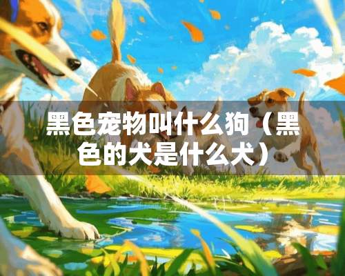 黑色宠物叫什么狗（黑色的犬是什么犬）