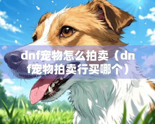 dnf宠物怎么拍卖（dnf宠物拍卖行买哪个）